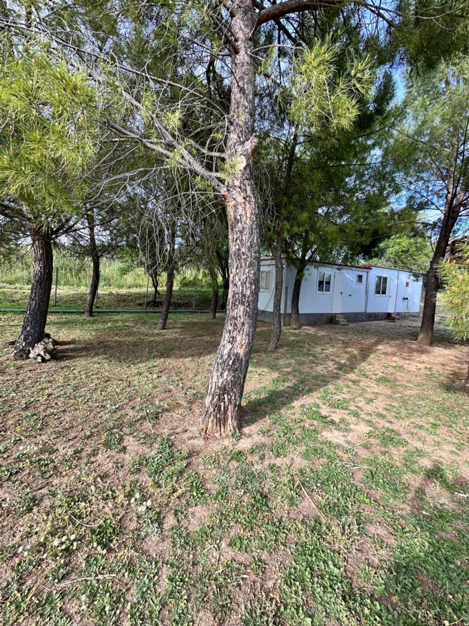Bungalow Golosina Torrelaguna Exterior foto